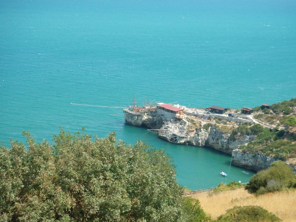 Hotel D'Amato Peschici Kültér fotó