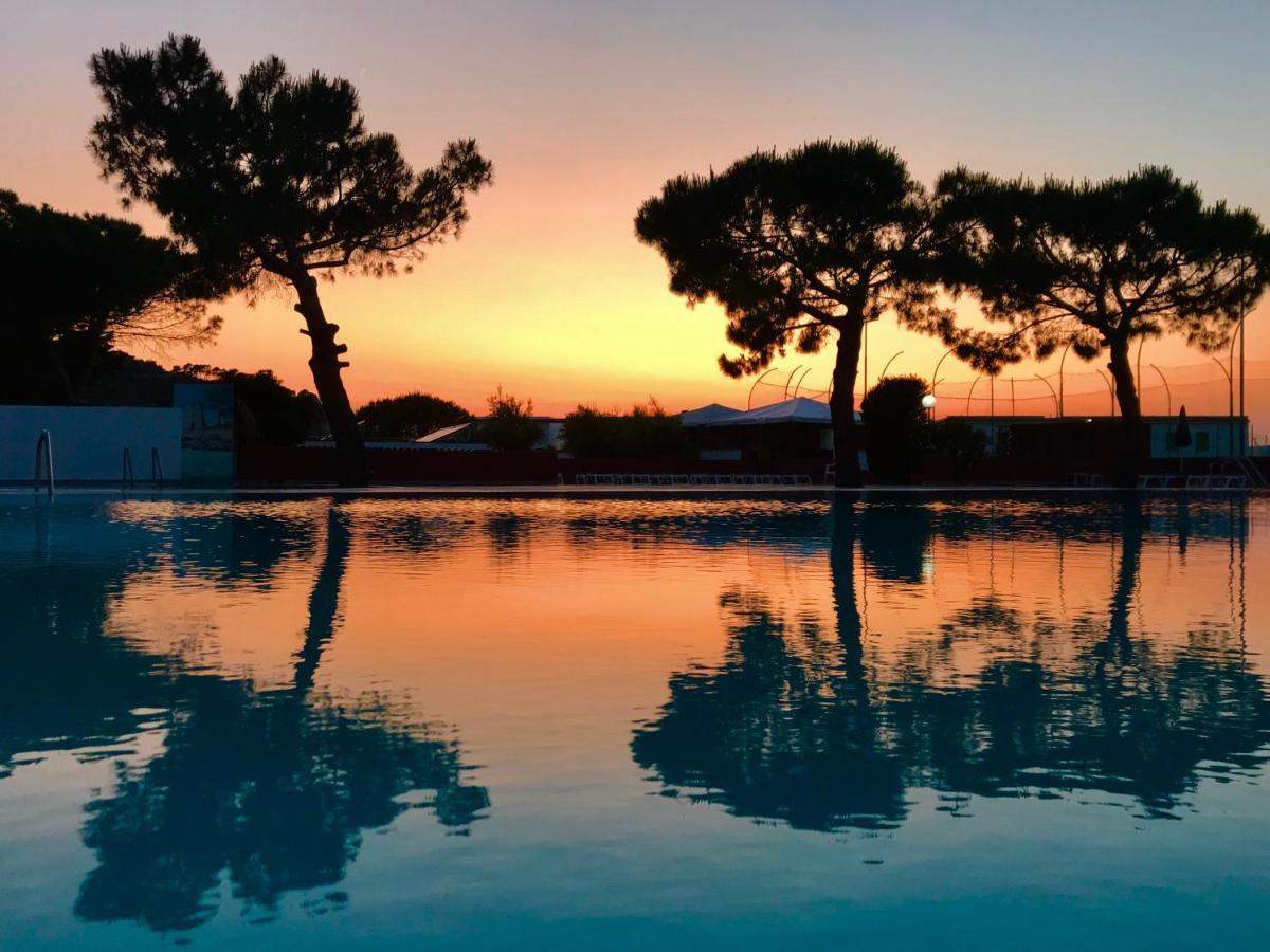 Hotel D'Amato Peschici Kültér fotó